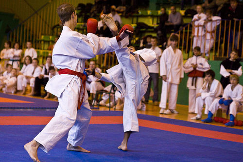 Jubileuszowy Turniej Karate - galeria