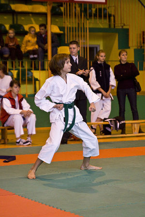 Jubileuszowy Turniej Karate - galeria