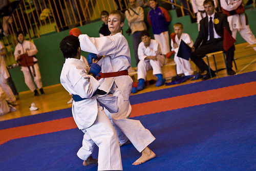Jubileuszowy Turniej Karate - galeria