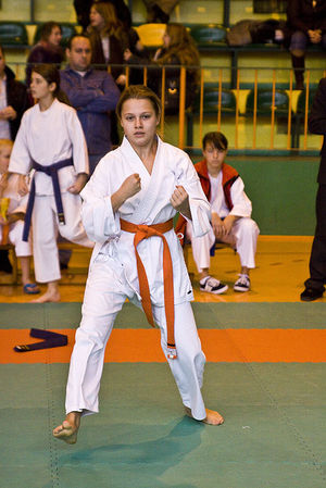 Jubileuszowy Turniej Karate - galeria