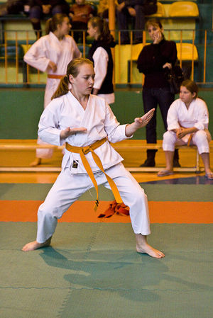 Jubileuszowy Turniej Karate - galeria