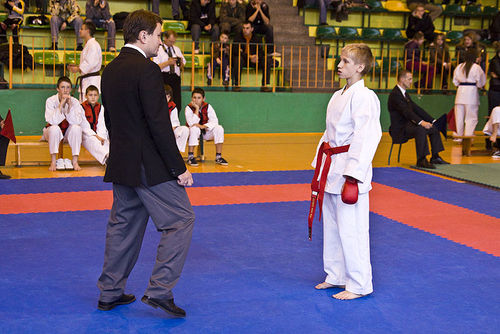 Jubileuszowy Turniej Karate - galeria