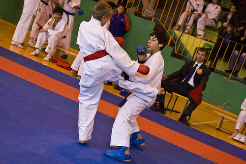 Jubileuszowy Turniej Karate - galeria