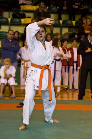 Jubileuszowy Turniej Karate - galeria