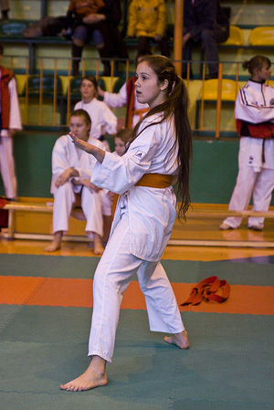 Jubileuszowy Turniej Karate - galeria