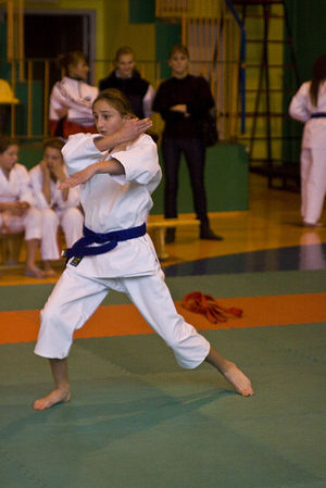 Jubileuszowy Turniej Karate - galeria