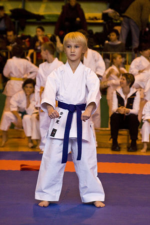 Jubileuszowy Turniej Karate - galeria