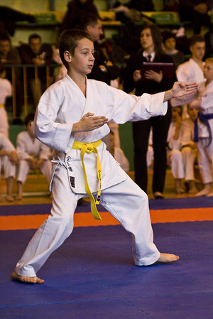 Jubileuszowy Turniej Karate - galeria