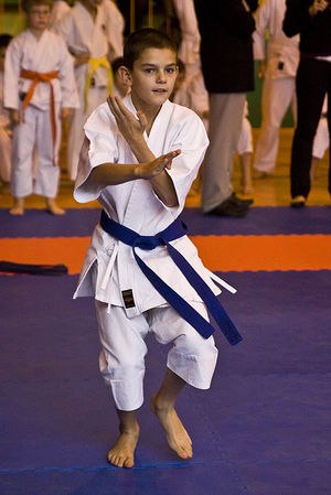 Jubileuszowy Turniej Karate - galeria