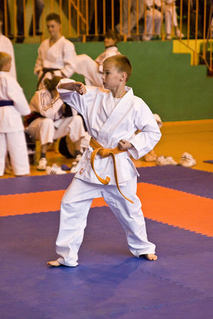 Jubileuszowy Turniej Karate - galeria