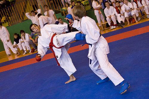 Jubileuszowy Turniej Karate - galeria