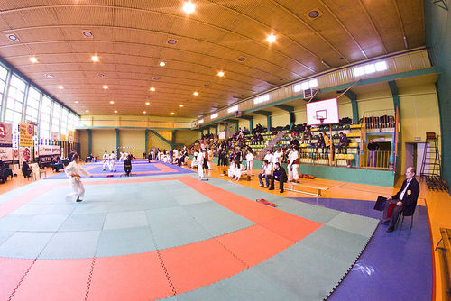 Jubileuszowy Turniej Karate - galeria