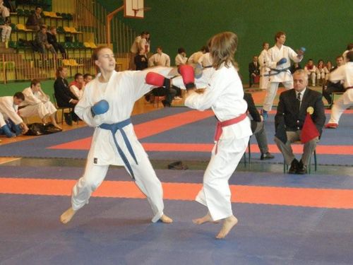 Jubileuszowy Turniej Karate - galeria