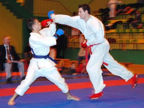 Jubileuszowy Turniej Karate - galeria