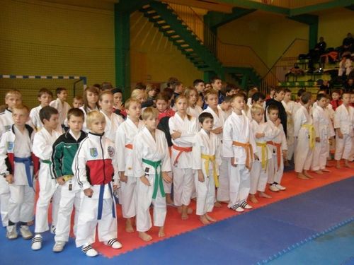 Jubileuszowy Turniej Karate - galeria