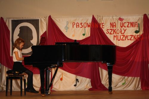 Złożyli uroczyste ślubowanie - galeria