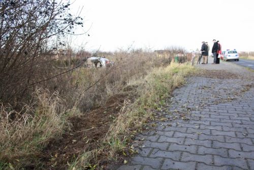 Vectra wjechała w ogródki - zdjęcia