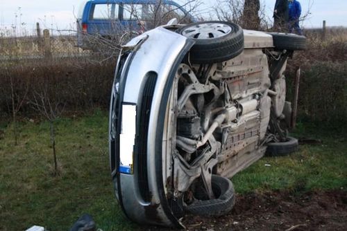 Vectra wjechała w ogródki - zdjęcia