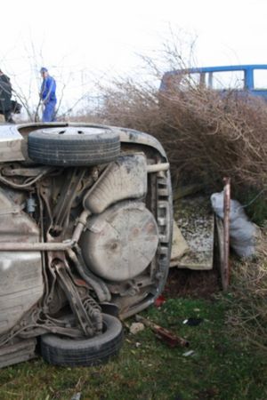 Vectra wjechała w ogródki - zdjęcia