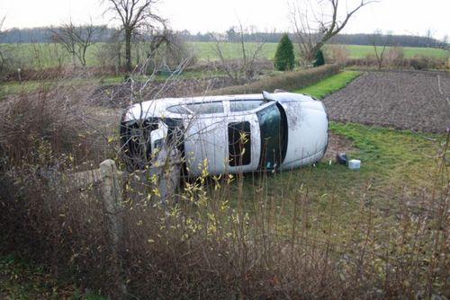 Vectra wjechała w ogródki - zdjęcia