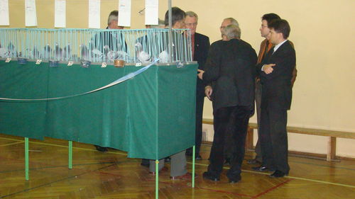 Wystawa gołębi pocztowych (galeria)