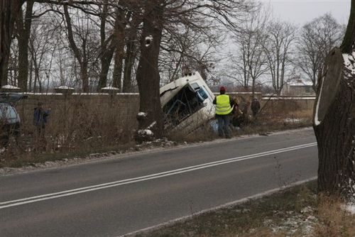 Ciężarówka ścięła drzewo - zdjęcia