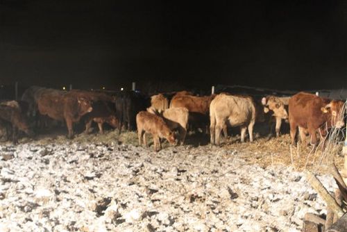 Pożar w Ludwinowie - fotorelacja