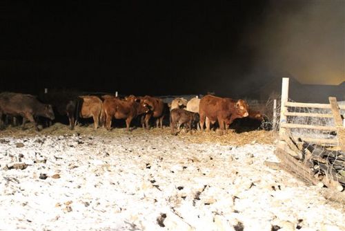 Pożar w Ludwinowie - fotorelacja