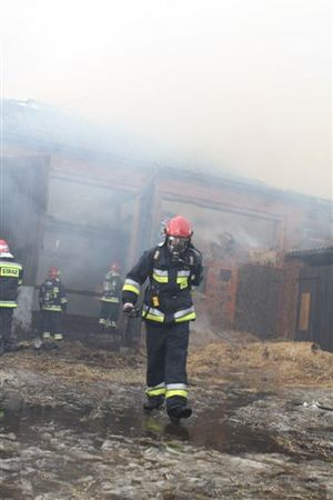 Pożar w Ludwinowie - fotorelacja