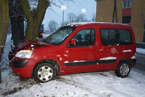 Wjechał prosto w drzewo - zdjęcia