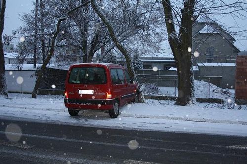 Wjechał prosto w drzewo - zdjęcia