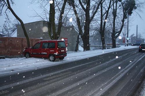 Wjechał prosto w drzewo - zdjęcia