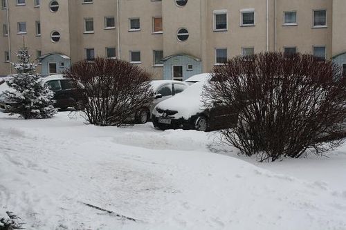 Przysypani śniegiem - galeria