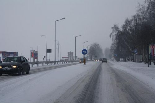 Przysypani śniegiem - galeria