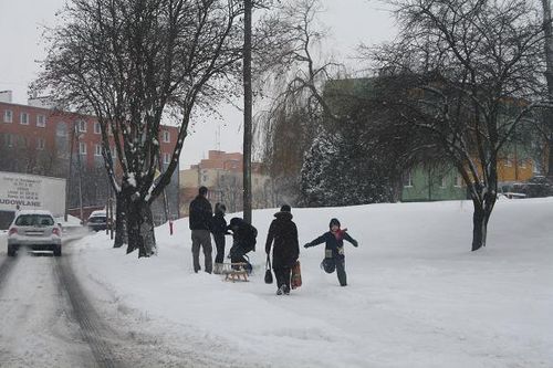 Przysypani śniegiem - galeria