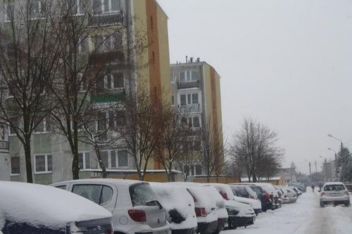 Przysypani śniegiem - galeria