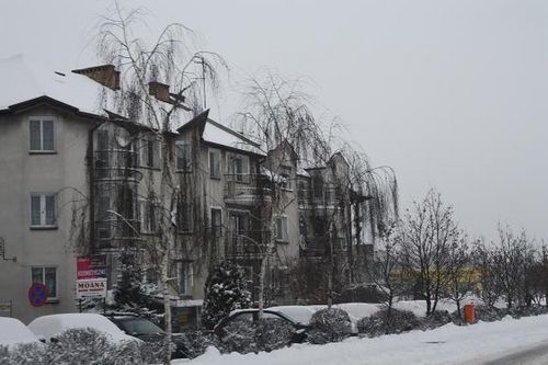 Przysypani śniegiem - galeria