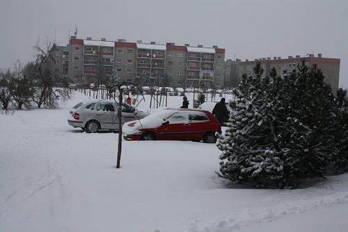 Przysypani śniegiem - galeria