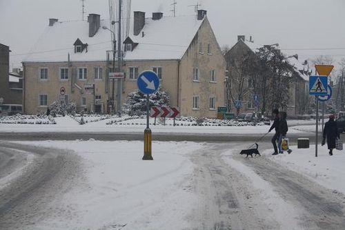 Przysypani śniegiem - galeria