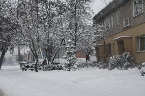 Przysypani śniegiem - galeria