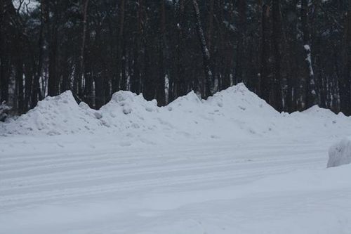 Niezadowoleni z obsługi - zdjęcia