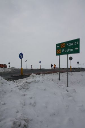 Tylko pozazdrościć - zdjęcia