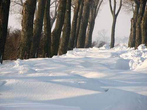 Odcięci od świata - zdjęcia
