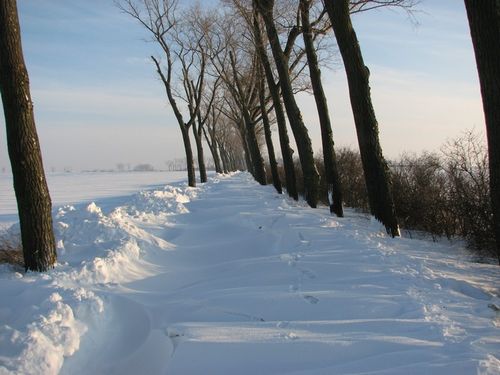 Odcięci od świata - zdjęcia