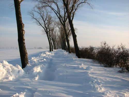 Odcięci od świata - zdjęcia