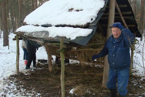 Zamiast kuligu - zdjęcia