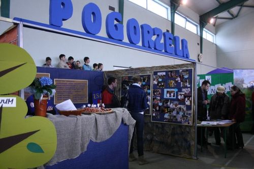 Stoją przed trudnym wyborem - galeria