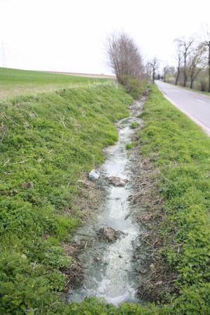 Śmierdząca sprawa - zdjęcia