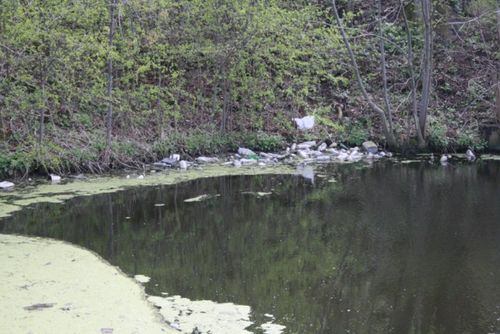 Śmierdząca sprawa - zdjęcia