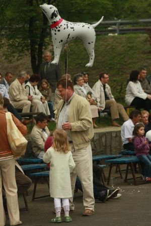 Urok Wesołej Majówki - zdjęcia